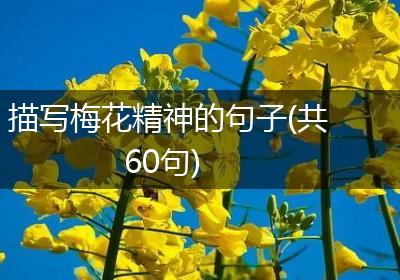 描写梅花精神的句子(共60句)