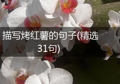 描写烤红薯的句子(精选31句)