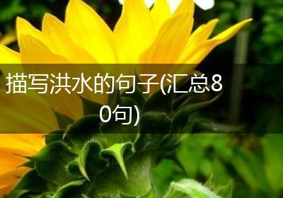 描写洪水的句子(汇总80句)