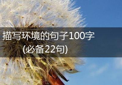 描写环境的句子100字(必备22句)