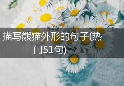描写熊猫外形的句子(热门51句)