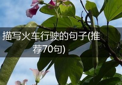 描写火车行驶的句子(推荐70句)