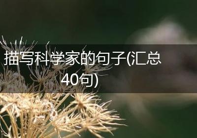 描写科学家的句子(汇总40句)