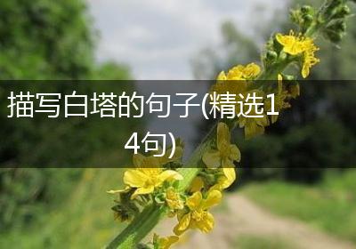 描写白塔的句子(精选14句)