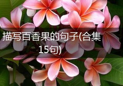 描写百香果的句子(合集15句)