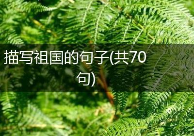 描写祖国的句子(共70句)