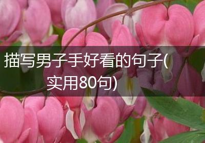 描写男子手好看的句子(实用80句)