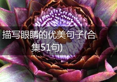 描写眼睛的优美句子(合集51句)
