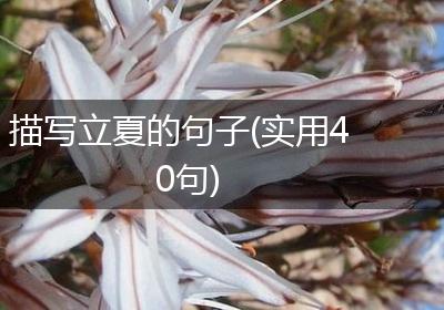 描写立夏的句子(实用40句)