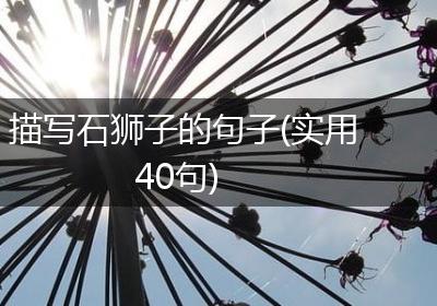 描写石狮子的句子(实用40句)