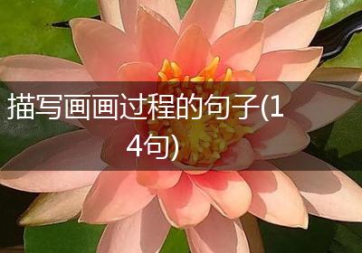 描写画画过程的句子(14句)