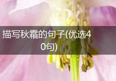 描写秋霜的句子(优选40句)
