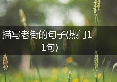 描写老街的句子(热门11句)