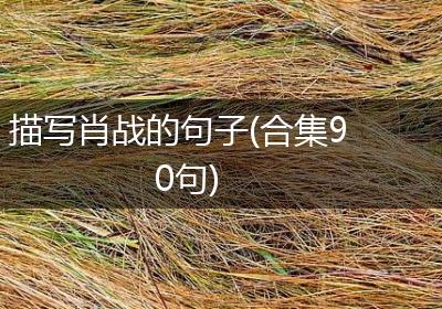 描写肖战的句子(合集90句)