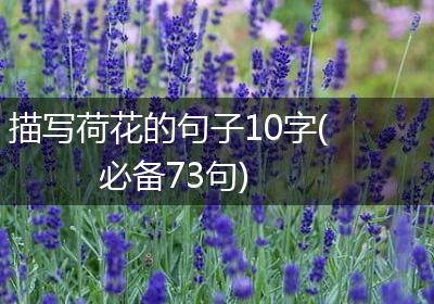 描写荷花的句子10字(必备73句)