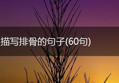 描写排骨的句子(60句)