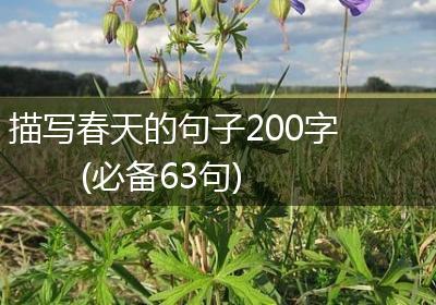 描写春天的句子200字(必备63句)