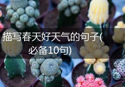 描写春天好天气的句子(必备10句)