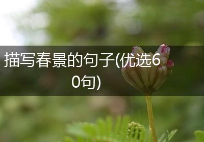 描写春景的句子(优选60句)