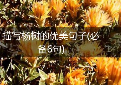描写杨树的优美句子(必备6句)