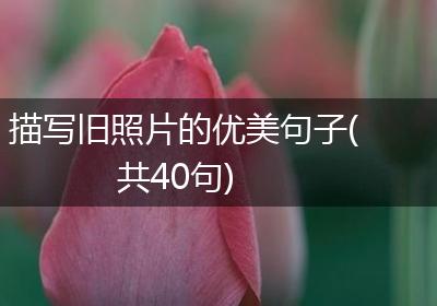 描写旧照片的优美句子(共40句)