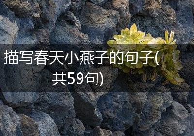 描写春天小燕子的句子(共59句)