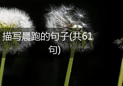 描写晨跑的句子(共61句)