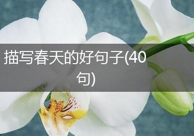 描写春天的好句子(40句)