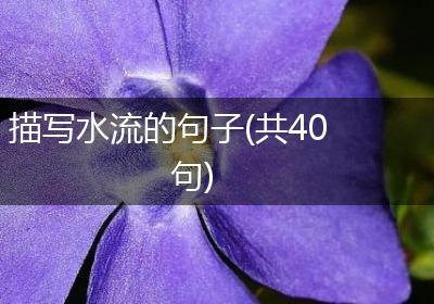 描写水流的句子(共40句)