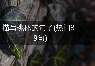 描写桃林的句子(热门39句)