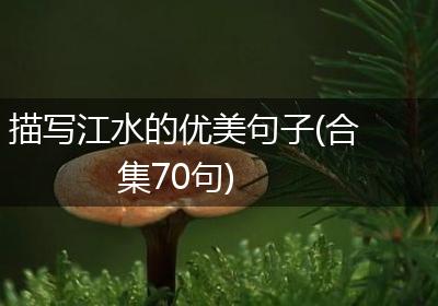 描写江水的优美句子(合集70句)