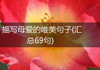 描写母爱的唯美句子(汇总69句)