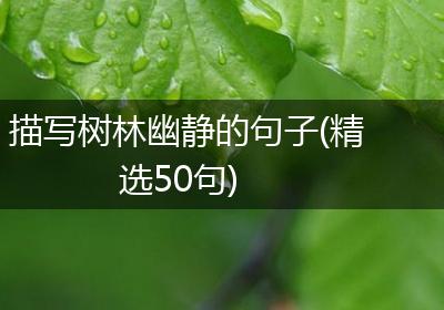 描写树林幽静的句子(精选50句)