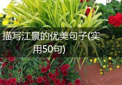 描写江景的优美句子(实用50句)