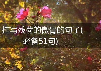 描写残荷的傲骨的句子(必备51句)