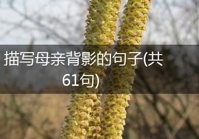描写母亲背影的句子(共61句)
