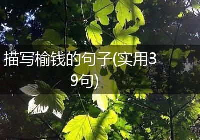 描写榆钱的句子(实用39句)