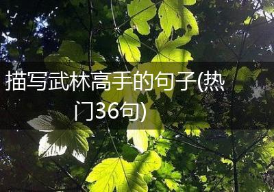 描写武林高手的句子(热门36句)