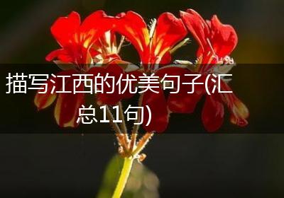 描写江西的优美句子(汇总11句)
