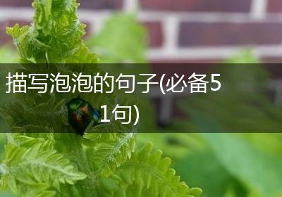 描写泡泡的句子(必备51句)