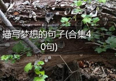 描写梦想的句子(合集40句)