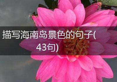 描写海南岛景色的句子(43句)