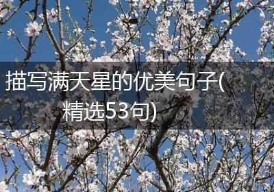 描写满天星的优美句子(精选53句)