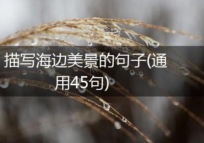 描写海边美景的句子(通用45句)