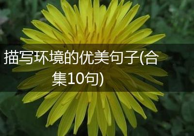 描写环境的优美句子(合集10句)