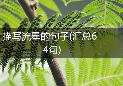 描写流星的句子(汇总64句)