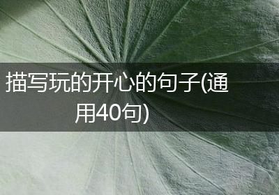 描写玩的开心的句子(通用40句)