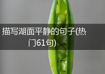 描写湖面平静的句子(热门61句)