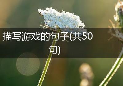 描写游戏的句子(共50句)