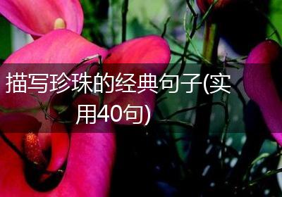 描写珍珠的经典句子(实用40句)